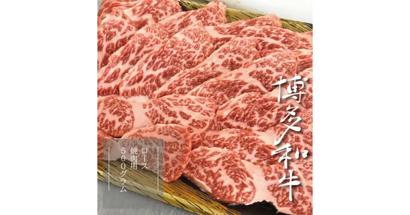 【ふるさと納税】【A5A4等級】博多和牛ロース焼肉用 約500g 博多 和牛 焼肉 お肉 肉 牛 3V4