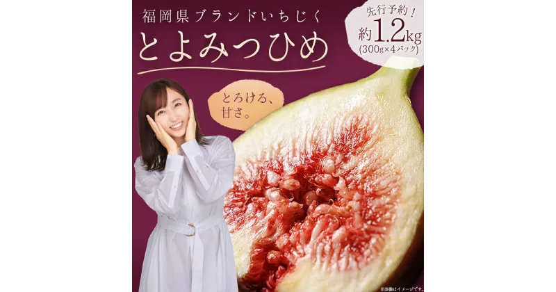 【ふるさと納税】福岡県 ブランド いちじく 「 とよみつひめ 」 約 1.2kg ( 約 300g × 4パック ) イチジク 無花果 国産 フルーツ 果物 食物繊維 美容 送料無料 3W2