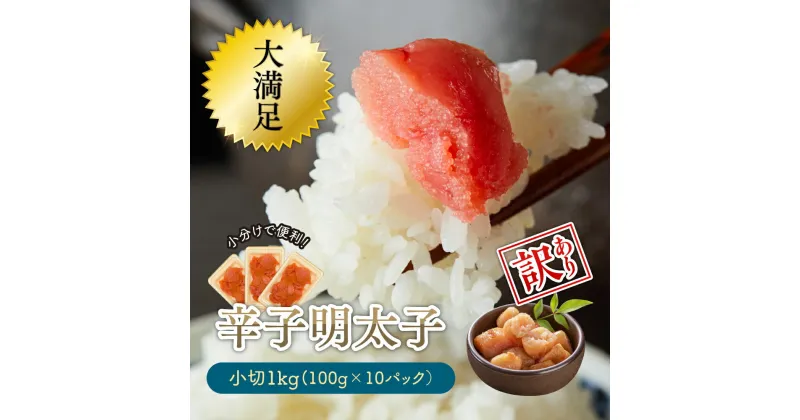 【ふるさと納税】 大満足！小分けで便利！【訳あり】辛子明太子　小切1kg（100g×10p）　Y28