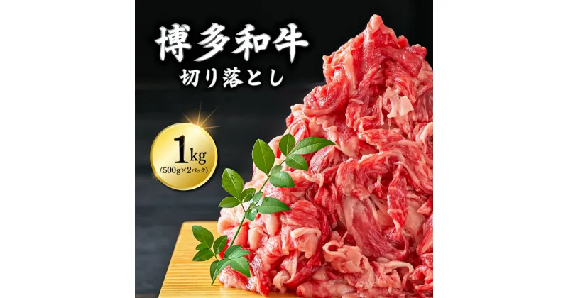 【ふるさと納税】 博多和牛切り落とし1kg(500g×2p） Y22