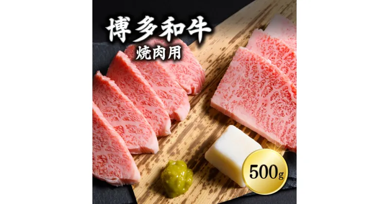 【ふるさと納税】博多和牛焼肉用　500g　Y7-S