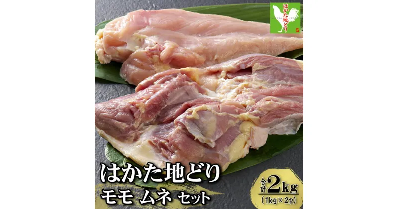 【ふるさと納税】 はかた地どり モモ ムネ セット 2kg （ 1kg × 2p ） お肉 肉 鶏肉 地鶏 筑前煮 煮物 水炊き 焼肉 ステーキ 炭火焼 国産 九州産 福岡県 福岡 赤村 Y35