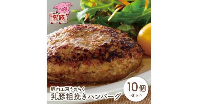 【ふるさと納税】乳豚粗挽きハンバーグ10個 豚肉工房うめちく 豚 ブランド肉 ギフト 国産 送料無料 U04-08