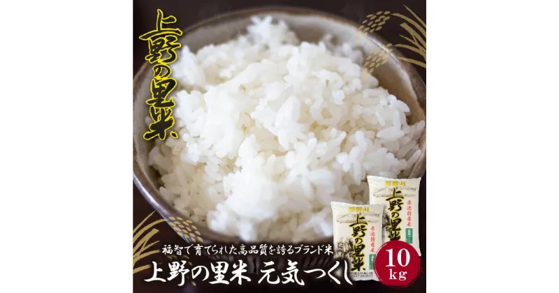 【ふるさと納税】【令和6年新米】 福岡の人気銘柄!!上野の里米 元気つくし10kg お米 白米 精米 福岡県 福智町 特産米 送料無料 U16-06