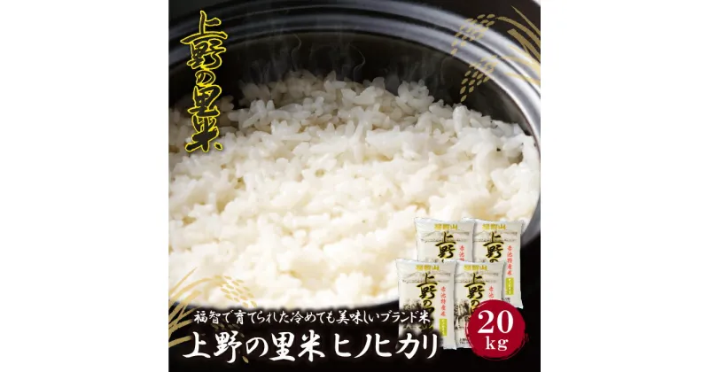 【ふるさと納税】【令和6年新米】 九州の人気銘柄!!上野の里米 ヒノヒカリ20kg お米 白米 精米 福岡県 福智町 特産米 送料無料 U16-10