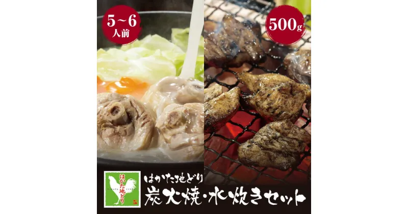 【ふるさと納税】はかた地どり 炭火焼500g＆水炊き(5〜6人前)セット 鍋 ぢどり焼き 福岡県 博多 送料無料 U12-06