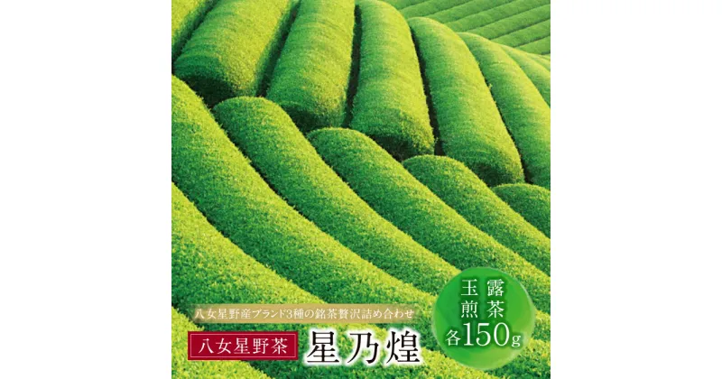 【ふるさと納税】星乃煌(玉露・煎茶 各150g) 詰め合わせ 日本茶 煎茶 緑茶 茶葉 国産 福岡県 贈り物 お歳暮 U26-07