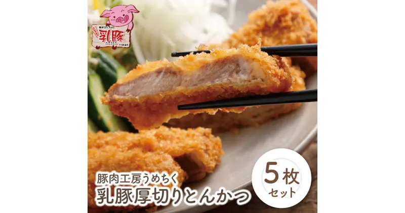 【ふるさと納税】乳豚厚切りとんかつ5枚 豚 ブランド肉 カツ 加工品 ギフト 国産 送料無料 U04-07