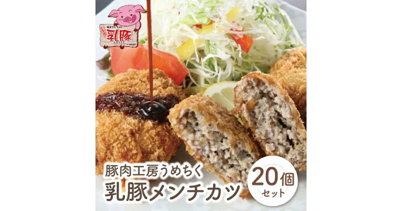 【ふるさと納税】乳豚 メンチカツ20個 豚 カツ 加工品 ブランド肉 セット ギフト 国産 送料無料 U04-09