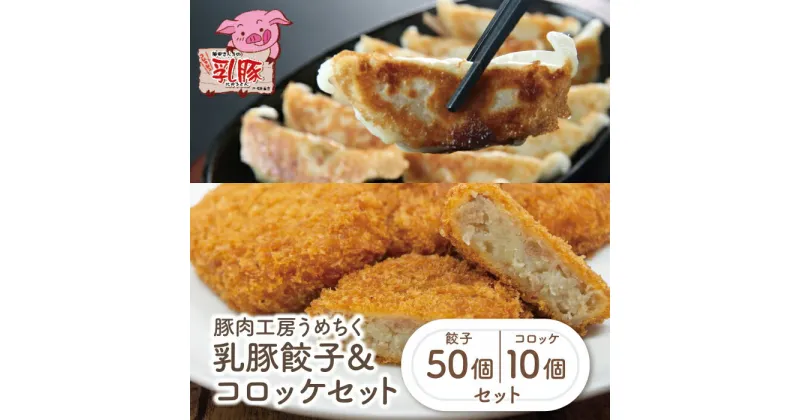 【ふるさと納税】乳豚 餃子50個＆コロッケ10個セット 豚 ブランド肉 加工品 セット ギフト 国産 送料無料 U04-11