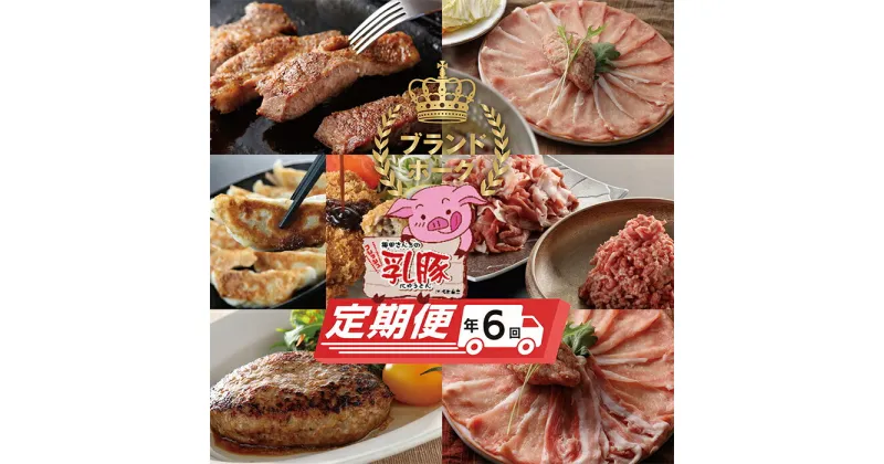 【ふるさと納税】乳豚バラエティ定期便(隔月・年6回) 豚肉工房うめちく 豚 ブランド肉 セット ギフト 国産 送料無料 U04-81