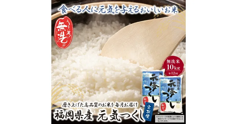 【ふるさと納税】無洗米 福岡県産・元気つくし10kg定期便(毎月・年12回) U17-86