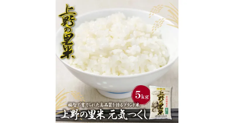 【ふるさと納税】【令和6年新米】 福岡の人気銘柄!!上野の里米 元気つくし5kg お米 白米 精米 福岡県 福智町 特産米 送料無料 U16-05