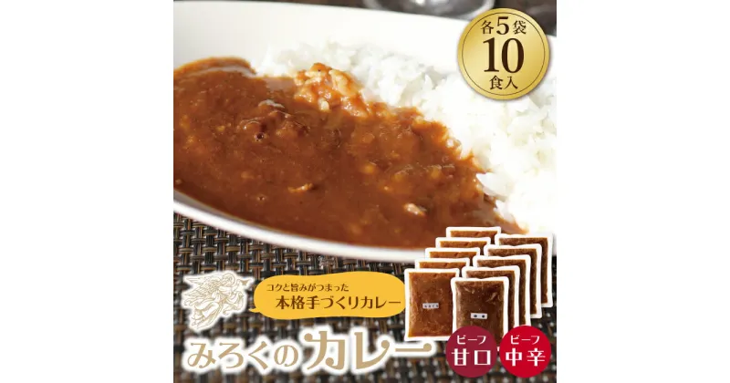 【ふるさと納税】みろくのカレー10食セット（甘口5食・中辛5食） ビーフカレー 本格 惣菜 冷凍 セット 簡単 グルメ 時短 送料無料 U27-01