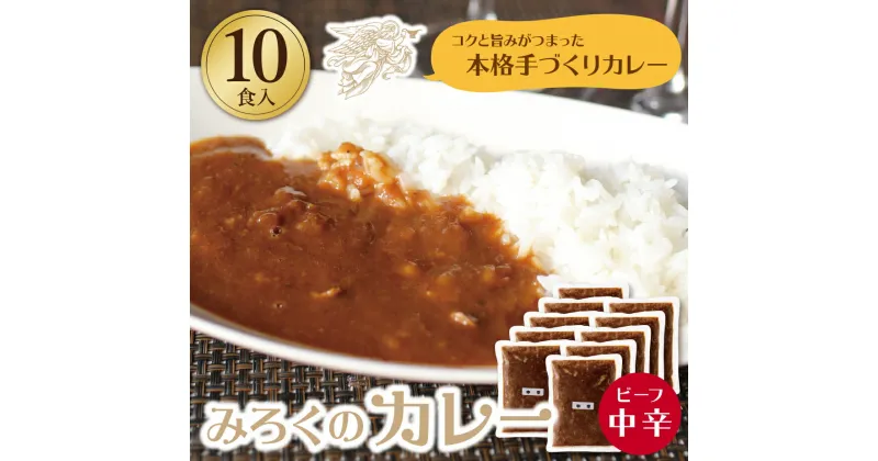 【ふるさと納税】 みろくのカレー10食セット（中辛10食） ビーフカレー 本格 惣菜 冷凍 セット 簡単 グルメ 時短 送料無料 U27-02