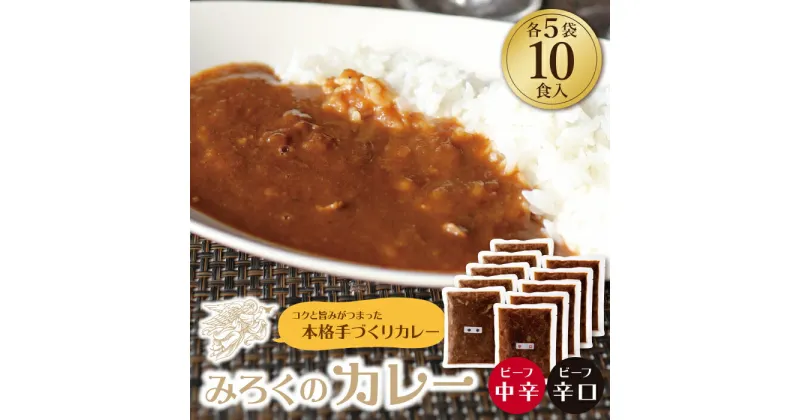 【ふるさと納税】みろくのカレー10食セット（中辛5食・辛口5食） ビーフカレー 本格 惣菜 冷凍 セット 簡単 グルメ 時短 送料無料 U27-03