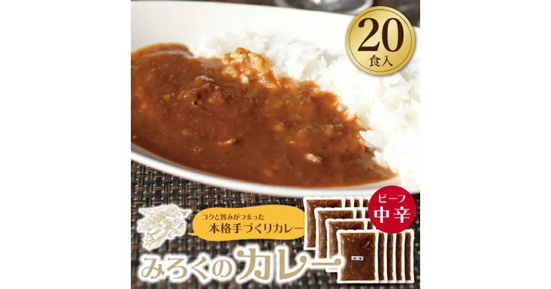 【ふるさと納税】 みろくのカレー20食セット（中辛20食） ビーフカレー 本格 惣菜 冷凍 セット 簡単 グルメ 時短 送料無料 U27-05