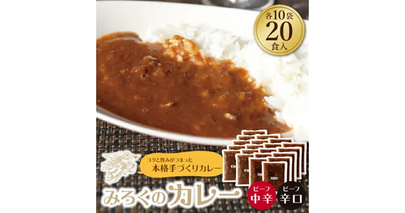 【ふるさと納税】みろくのカレー20食セット（中辛10食・辛口10食） ビーフカレー 本格 惣菜 冷凍 セット 簡単 グルメ 時短 送料無料 U27-06