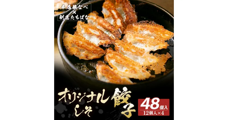 【ふるさと納税】本店鉄なべ×割烹たちばな 餃子セット48個(オリジナル・しそ各24個) 一口 老舗 割烹 名店 ご当地グルメ 薄皮 送料無料 U02-14