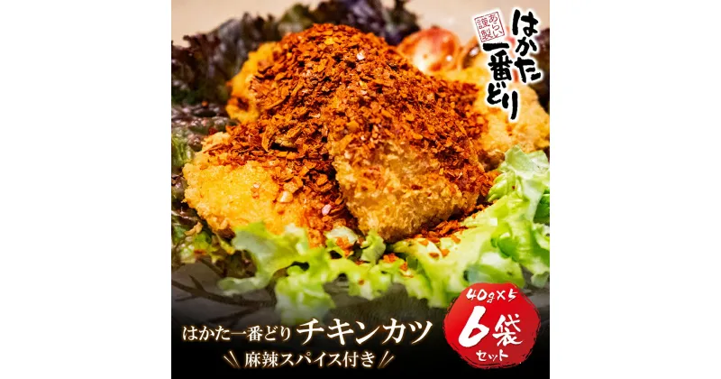 【ふるさと納税】はかた一番どり　チキンカツ(麻辣スパイス付き)6パック 国産 ブランド肉 揚げ物 グルメ 送料無料 U13-19