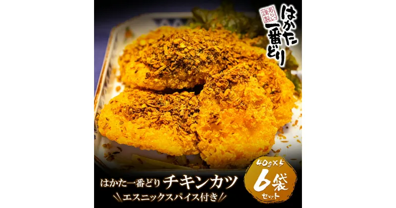 【ふるさと納税】はかた一番どり　チキンカツ(エスニックスパイス付き)6パック 国産 ブランド肉 揚げ物 グルメ 送料無料 U13-20