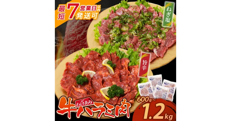 【ふるさと納税】【訳あり】 牛ハラミ肉2種600g〜1.2kg 旨辛ダレ ねぎ塩 牛肉 焼肉 味付け肉 やきにく タレ 漬け 付き 小分け 個包装 アウトドア キャンプ 大人気 人気 BBQ 簡単 冷凍 家庭用 大人気 コスパ 福智 手軽 発送時期 博多若杉 送料無料 U61-43 U61-44