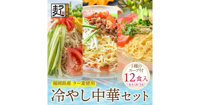 【ふるさと納税】《先行予約》【4～8月発送】福岡県産ラー麦 冷し中華セット 福岡 冷し中華 レモン 坦々スープ ごまだれ ラー麦 アレンジ U16-24