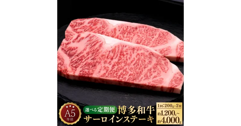 【ふるさと納税】【選べる定期便】A5等級 博多和牛 サーロインステーキ 和牛 牛肉 肉 お肉 国産牛 国産牛肉 サーロイン ステーキ ステーキ肉 赤身 霜降り 1回約200g×2枚 定期便 3ヶ月 5ヶ月 10ヶ月 隔月6回 冷凍 博多 福岡県 苅田町 送料無料