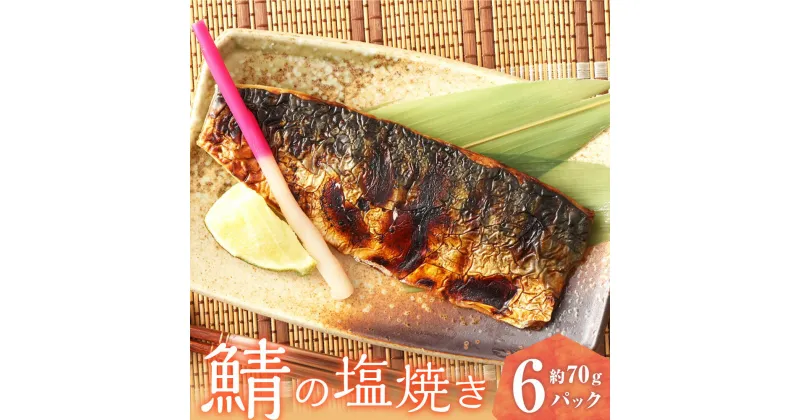 【ふるさと納税】鯖の塩焼き 6パック 約70g×6パック 合計420g 塩焼き サバ 鯖 さば 魚 レンジ レトルト 福岡県 苅田町 送料無料