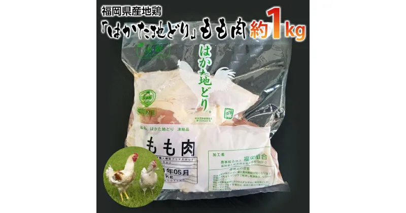 【ふるさと納税】福岡県産地鶏「はかた地どり」もも肉(約1kg) お取り寄せグルメ お取り寄せ 福岡 お土産 九州 ご当地グルメ 福岡土産 取り寄せ 福岡県 食品