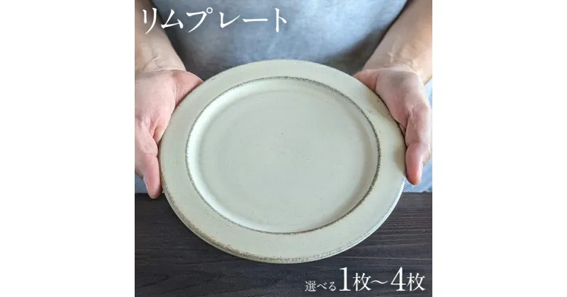 【ふるさと納税】リムプレート 1枚 2枚 3枚 4枚 陶器 食器 お皿 皿 プレート キッチン雑貨 ハンドメイド おしゃれ かわいい インテリア 新生活 プレゼント ギフト 贈り物 福岡 九州 福岡県