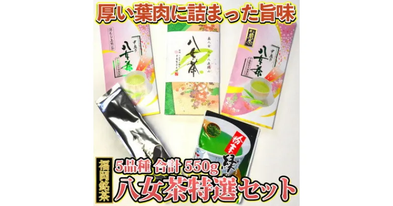 【ふるさと納税】福岡銘茶八女茶 特選セット5種合計550g 老舗製茶店の逸品(吉富町)【1330362】