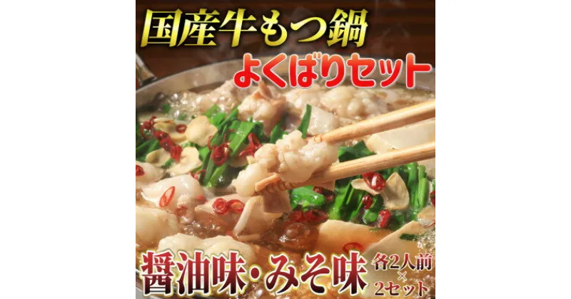 【ふるさと納税】国産牛よくばりもつ鍋セット醤油味2人前&みそ味2人前(計4人前)〆はマルゴめん(吉富町)【配送不可地域：離島】【1330367】