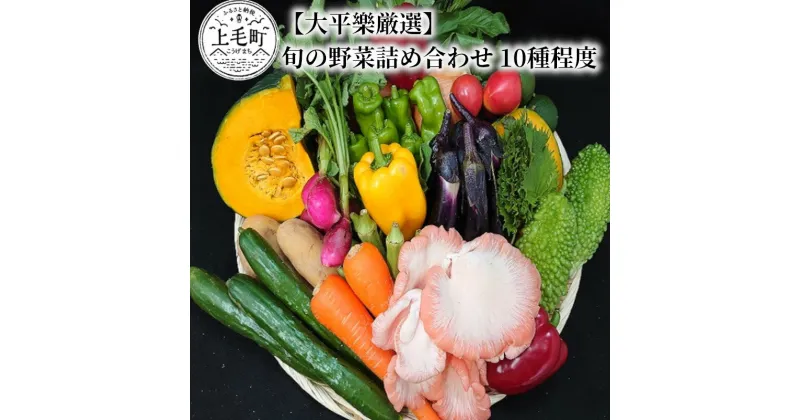 【ふるさと納税】【大平樂厳選】旬の野菜 詰め合わせ 10種程度 旬 野菜 季節野菜 ベジタブル ベジタリアン サラダ 料理 新鮮 ダイエット 野菜セット おすすめ オススメグルメ お取り寄せ 送料無料