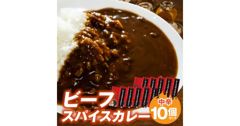 【ふるさと納税】ビーフスパイスカレー 1袋 180g 10個 セット 平茸 牛肉 野菜 32種類 スパイス 平茸 椎茸 たまねぎ 人参 レンコン ゴボウ 中辛 カレー 旨味 簡単調理 レトルト 湯煎 お取り寄せ お取り寄せグルメ 福岡 上毛町 送料無料