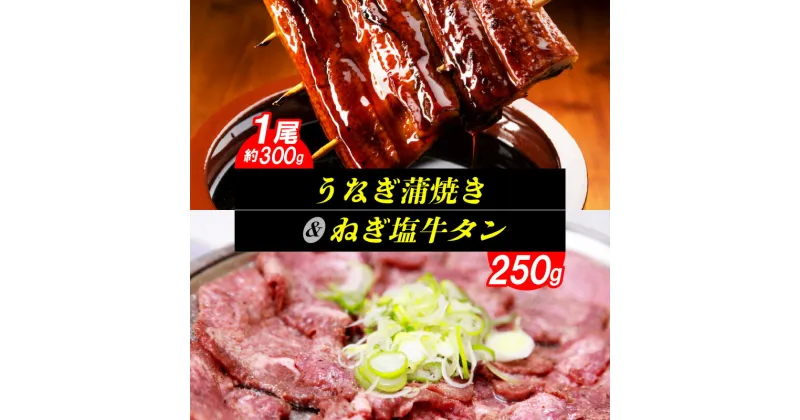 【ふるさと納税】【レビューキャンペーン対象】 うなぎ蒲焼き 約 300g ねぎ塩牛タン 250g セット 肉厚 ふっくら うなぎ 蒲焼き 特製塩だれ ネギ塩 ちょうど食べやすい厚さ 牛タン おかず 牛肉 お取り寄せ お取り寄せグルメ 福岡県 上毛町 送料無料