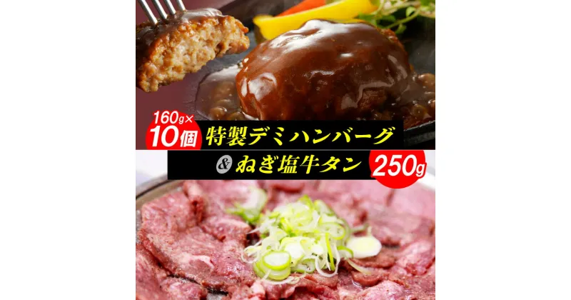 【ふるさと納税】【レビューキャンペーン対象】 ハンバーグ 160g × 10個 ねぎ塩牛タン 250g セット デミグラスハンバーグ デミグラス デミハン デミグラスソース ネギ塩 牛タン タン お弁当 おかず 湯煎 簡単調理 お取り寄せ お取り寄せグルメ 福岡県 上毛町 送料無料