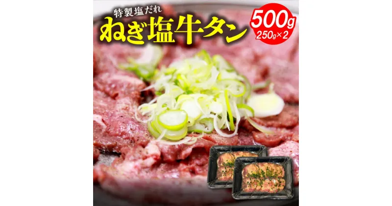 【ふるさと納税】【レビューキャンペーン対象】 牛タン ねぎ塩 250g × 2パック 合計 500g ちょうど食べやすい厚さ 特製塩だれ タン 牛肉 味付き 食べきりサイズ 小分け 焼くだけ 焼肉 スライス 冷凍 お取り寄せ お取り寄せグルメ 福岡県 上毛町 送料無料