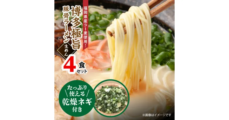 【ふるさと納税】たっぷりネギ付き ラーメン 博多ラーメン 豚骨ラーメン 博多極旨豚骨ラーメン 福岡県産 ラー麦 使用 ねぎ 生めん スープ 4食 セット 優しくクリーミーな口当たりの絶品スープ 常温 福岡 ご当地グルメ グルメ お取り寄せ お取り寄せグルメ 上毛町 送料無料