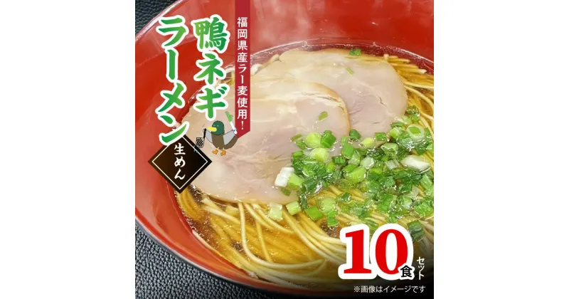 【ふるさと納税】ラー麦使用の鴨ネギラーメン　10人前 送料無料