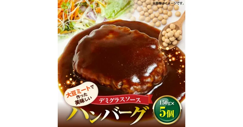 【ふるさと納税】【レビューキャンペーン対象】 大豆ミートで作った 美味しいデミグラスソースハンバーグ 150g×5個