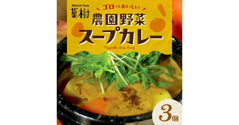 【ふるさと納税】【ナチュラルファーム菓樹】農園野菜スープカレー 3個セット