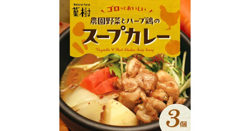 【ふるさと納税】【ナチュラルファーム菓樹】農園野菜とハーブ鶏のスープカレー 3個セット