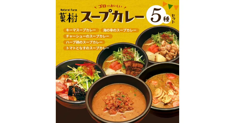 【ふるさと納税】【ナチュラルファーム菓樹】スープカレー 5種セット