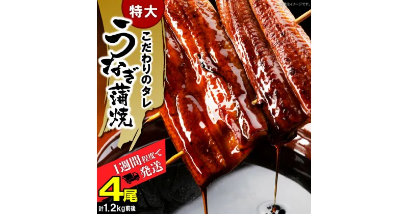 【ふるさと納税】うなぎ 蒲焼 特大 4尾 計 1.2 kg 前後 ビッグサイズ 特製 タレ 肉厚 ふっくら ジューシー 土用 丑の日 うな丼 ひつまぶし うまき うざく おかず おつまみ お弁当 食品 食べ物 グルメ お取り寄せ 送料無料 冷凍 福岡県 上毛町