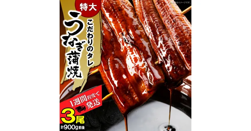 【ふるさと納税】うなぎ 蒲焼 特大 3尾 計 900 g 前後 ビッグサイズ 特製 タレ 肉厚 ふっくら ジューシー 土用 丑の日 うな丼 ひつまぶし うまき うざく おかず おつまみ お弁当 食品 食べ物 グルメ お取り寄せ 送料無料 冷凍 福岡県 上毛町