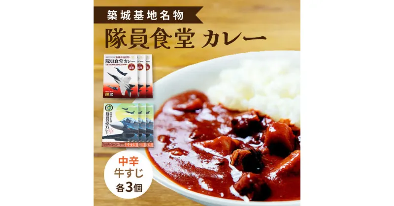 【ふるさと納税】航空自衛隊 築城基地 名物 隊員食堂 カレー ( 中辛 + 牛すじ 各3個）《築上町》【NPO法人築上町観光協会】 13000円 [ABAX003]