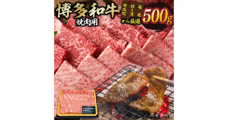 【ふるさと納税】【和牛の旨味を堪能！】博多和牛 焼肉用 500g《築上町》【株式会社MEAT PLUS】 17000円 #BBQ [ABBP012]