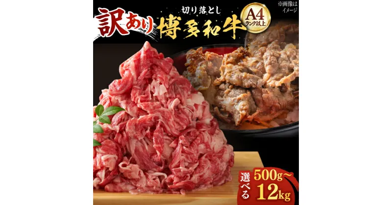 【ふるさと納税】博多和牛 切り落とし 500g / 1kg (選べる容量/回数)《築上町》【株式会社MEAT PLUS】 定期便 #BBQ [ABBP004]