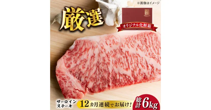 【ふるさと納税】【全12回定期便】【溢れる肉汁と濃厚な旨味】博多和牛サーロインステーキセット 500g(250g×2枚)《築上町》【株式会社MEAT PLUS】240000円 [ABBP032]